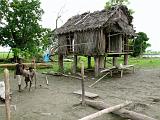 Papua Sepik and Blackwater River (Karavari Timbunke) - 075